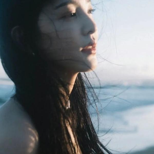 鲸鱼之友